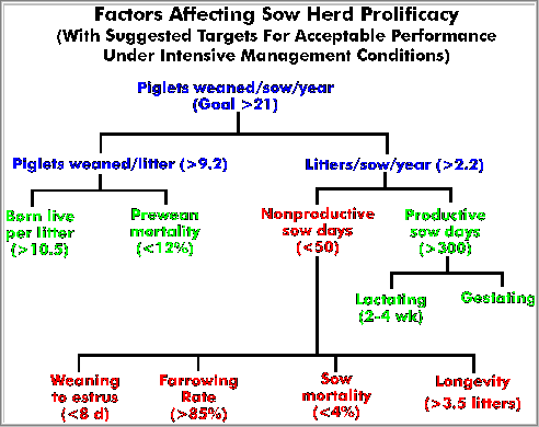 Swine Heat Cycle Chart