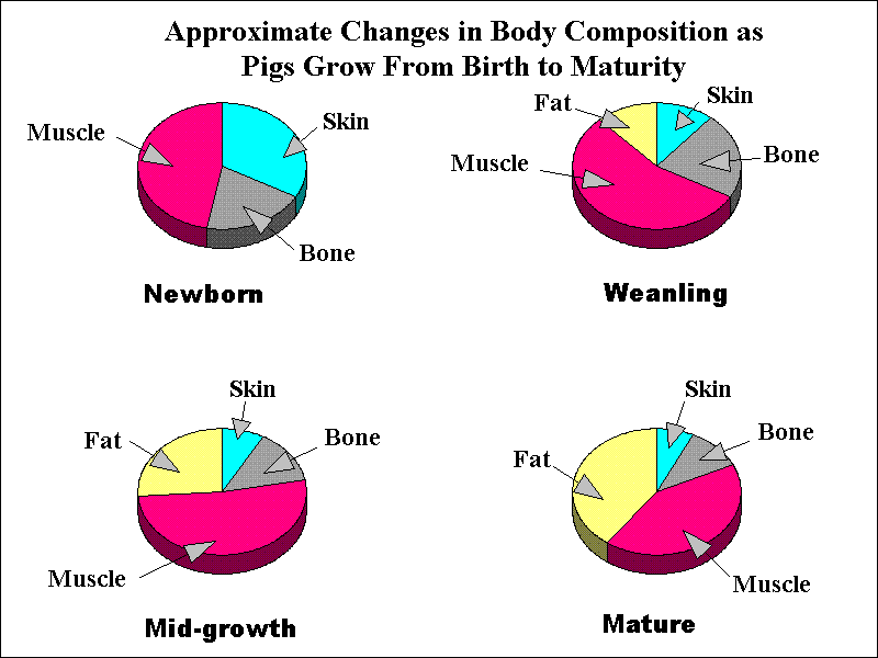 Growth Pies