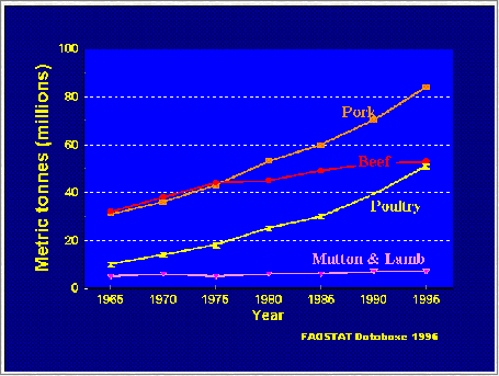 Meat Production