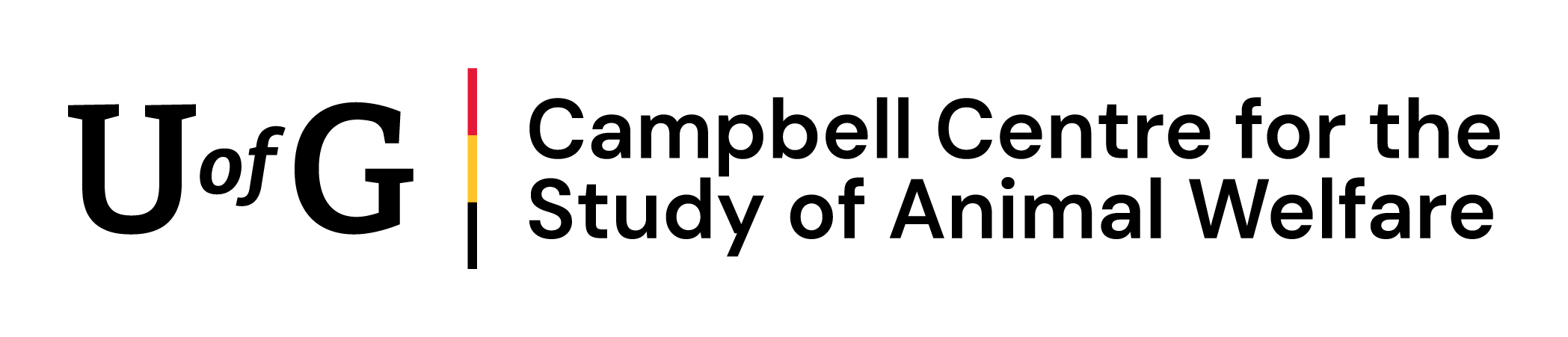 CCSAW logo