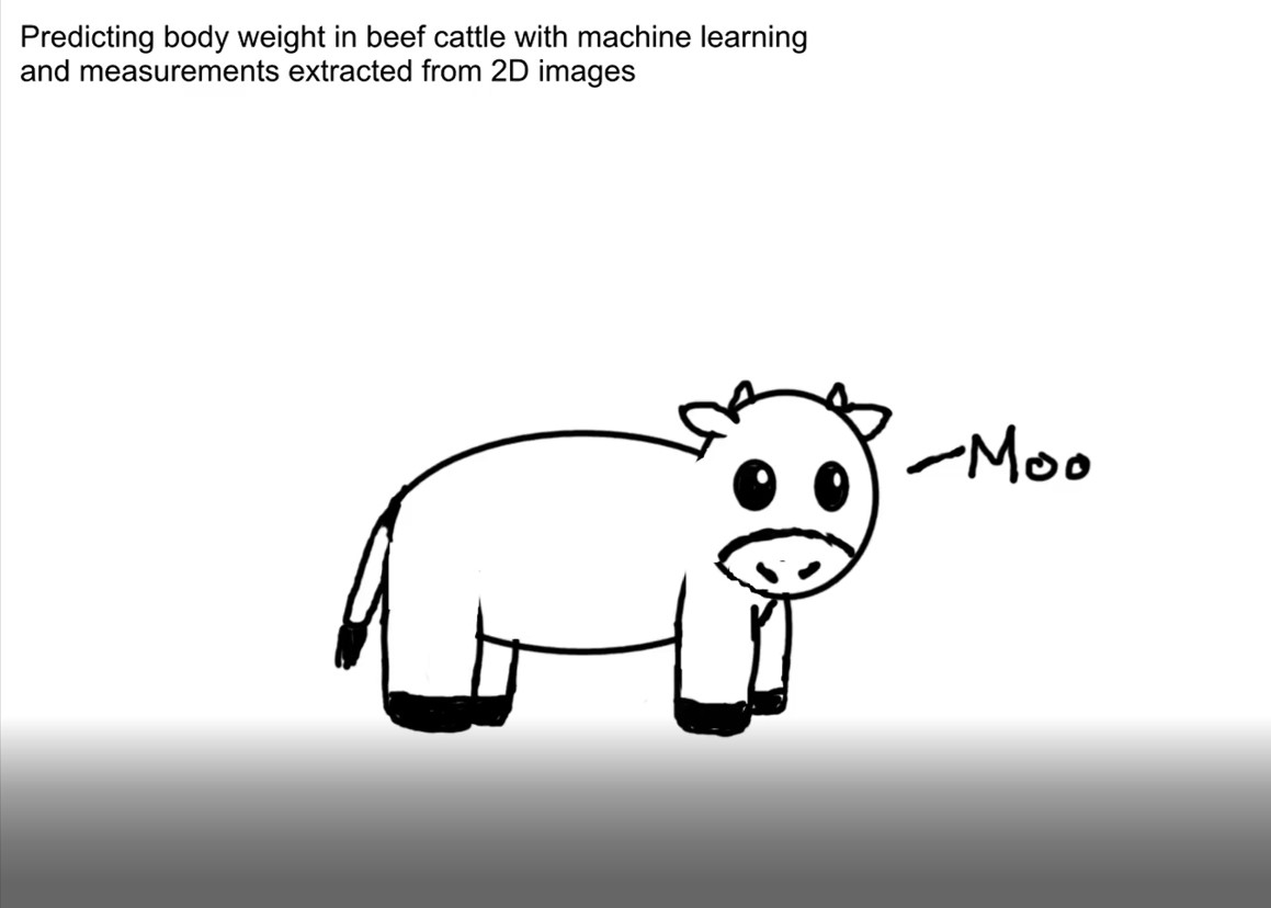 beef cow cartoon