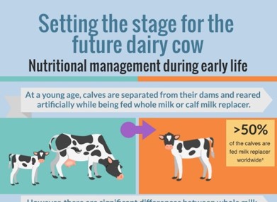 Future of Dairy Infographic