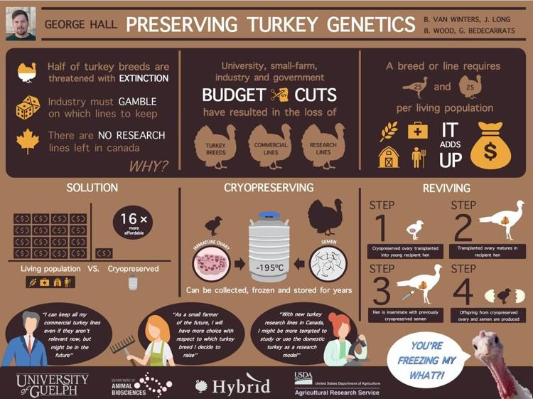 food infographic poster