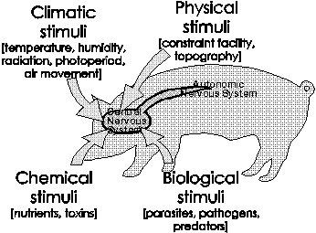 Animals and Environments