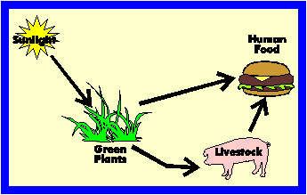 Animal Production Systems