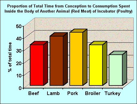 conception to carcass