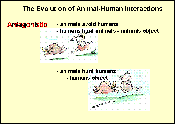 Antagonistic Interactions