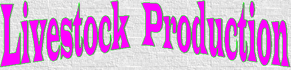 Livestock Production