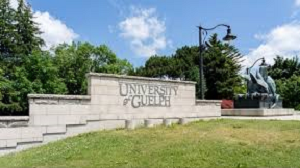 FLAVIO SCHENKEL - Members - University of Guelph